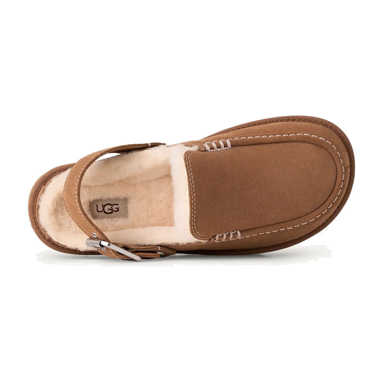 Chestnut